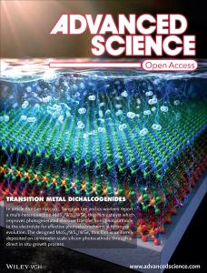 3. Direct In situ Growth of Centimeter-scale Multi-heterojunction MoS2/WS2/WSe2 Thin Film Catalyst For Photoelectrochemical Hydrogen Evolution (press release)